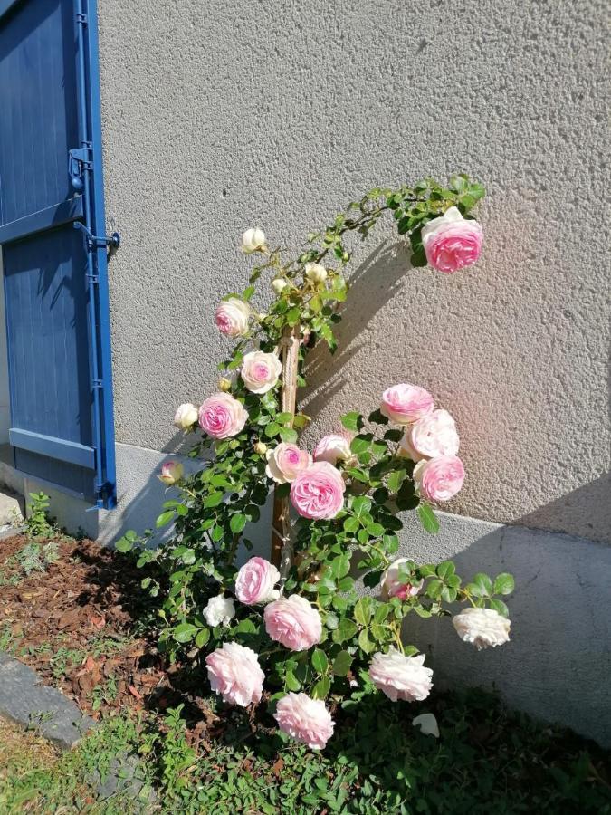 La Petite Boire - Chambres D'Hotes Pres D'Angers Murs-Erigne ภายนอก รูปภาพ