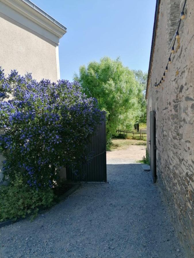 La Petite Boire - Chambres D'Hotes Pres D'Angers Murs-Erigne ภายนอก รูปภาพ