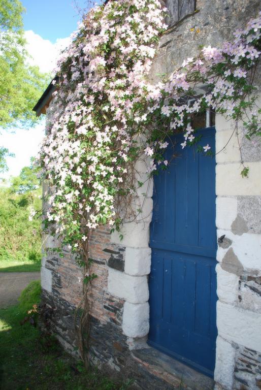 La Petite Boire - Chambres D'Hotes Pres D'Angers Murs-Erigne ภายนอก รูปภาพ